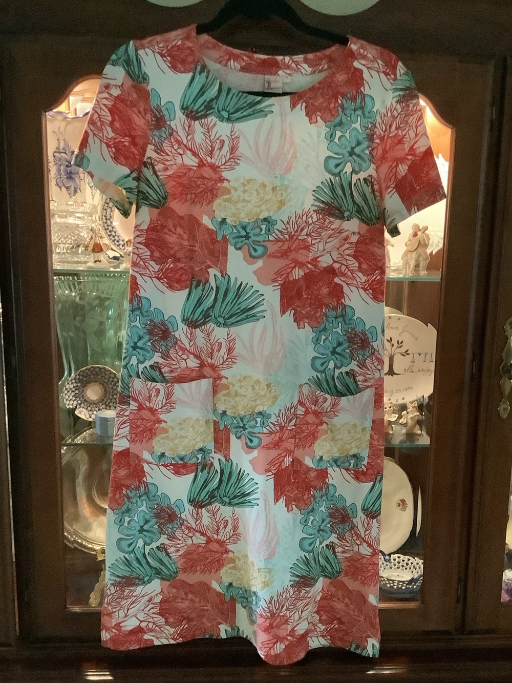 Persifor Tuckernuck Carter Dress-EUC-Medium